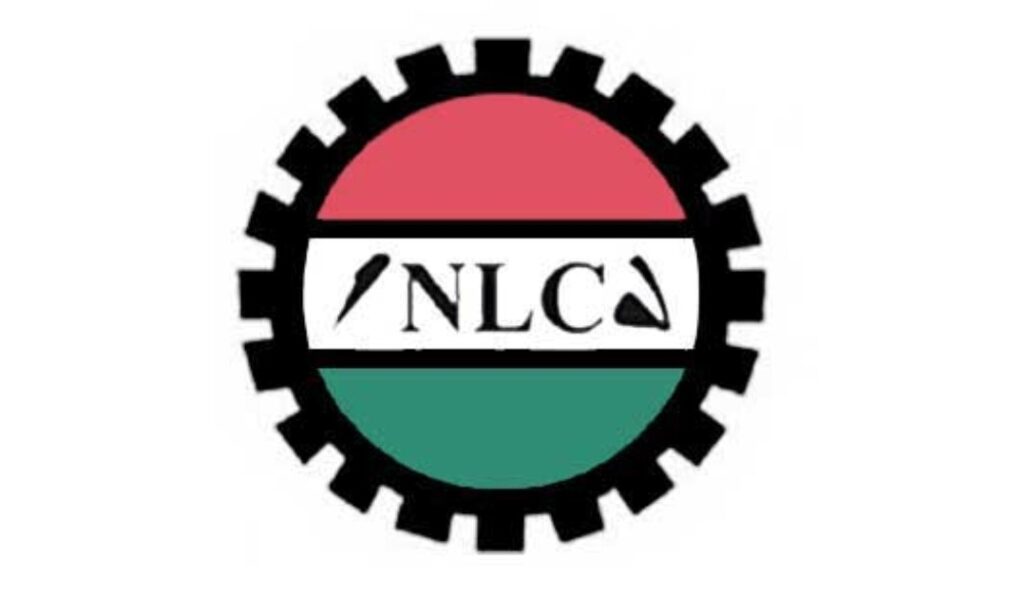 NLC pledges support for Nigerian nurses amid economic hardship