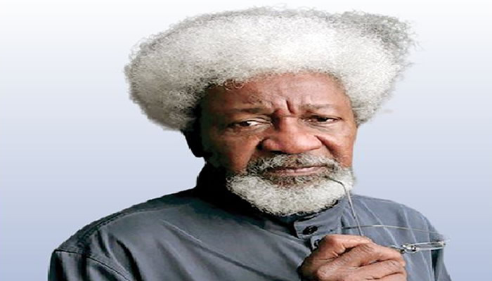 Soyinka berates Tinubu over Benin intervention, says Lagos demolitions ‘inhumane’